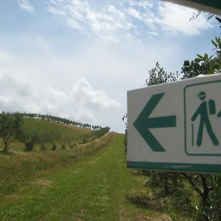 Alloggio per agriturismo Poggio Degli Ulivi Rispescia