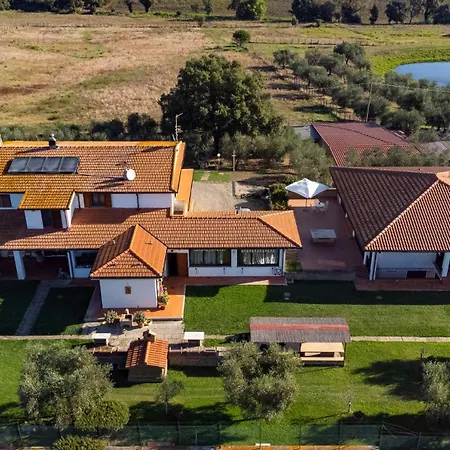 Poggio Degli Ulivi