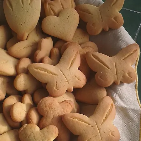 Poggio Degli Ulivi Gospodarstwo agroturystyczne Rispescia