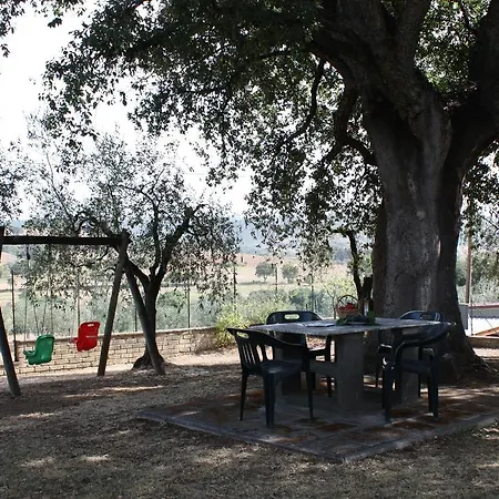 Poggio Degli Ulivi בית חווה *